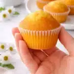 Muffin allo yogurt fatti in casa, soffici e dorati, pronti da mangiare